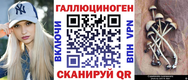 Псилоцибиновые грибы мицелий Юрга